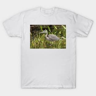 Great Blue Heron - Mud Lake, Ottawa, Canada T-Shirt